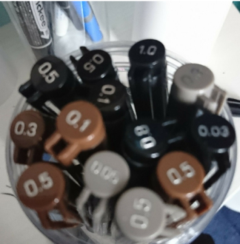447.jpg